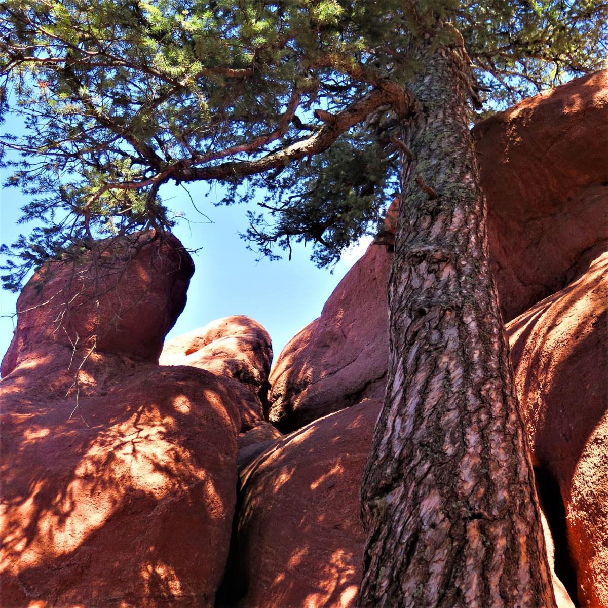 Exploring Woodland Park's red rocks