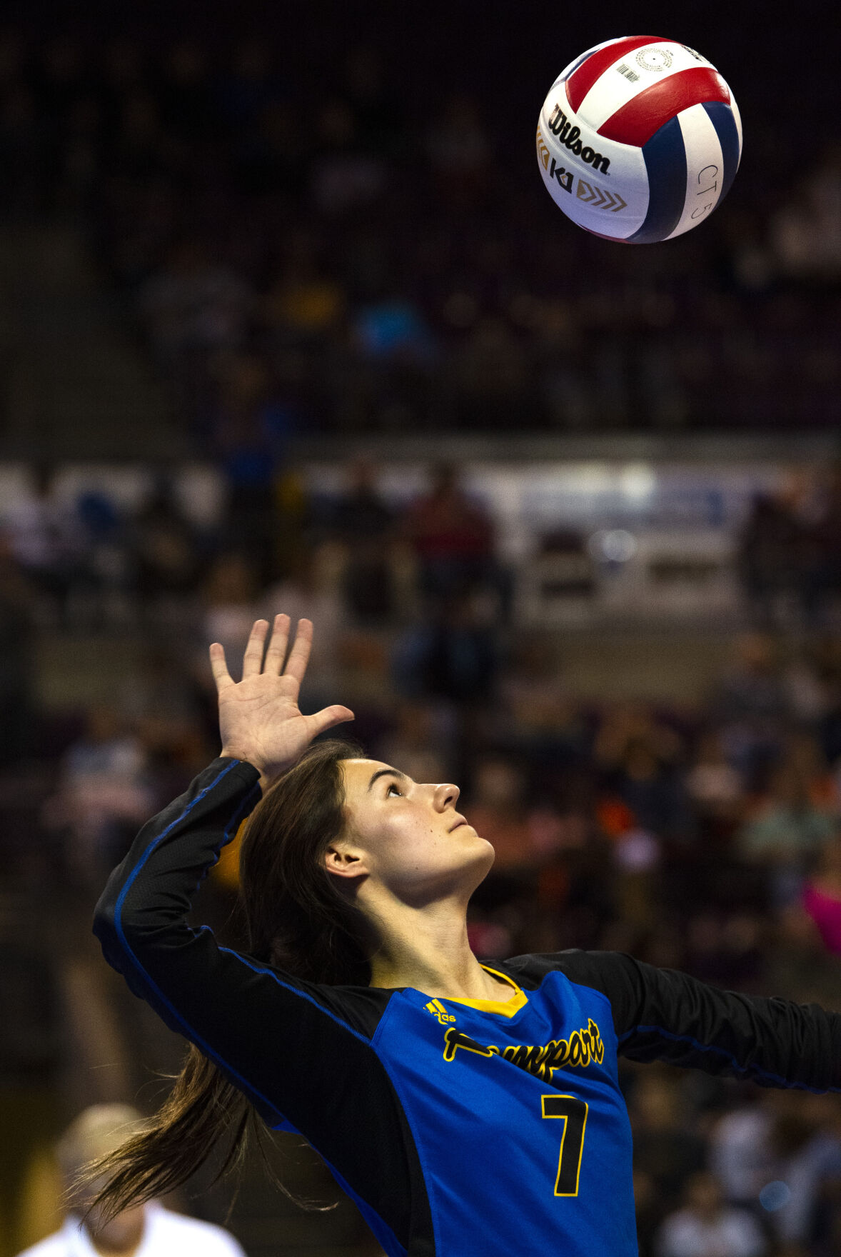 11_11_215a volleyball01174.jpg