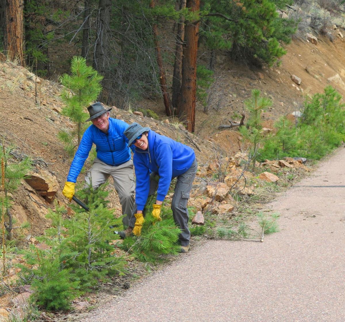 Working to keep Majestic Park safe
