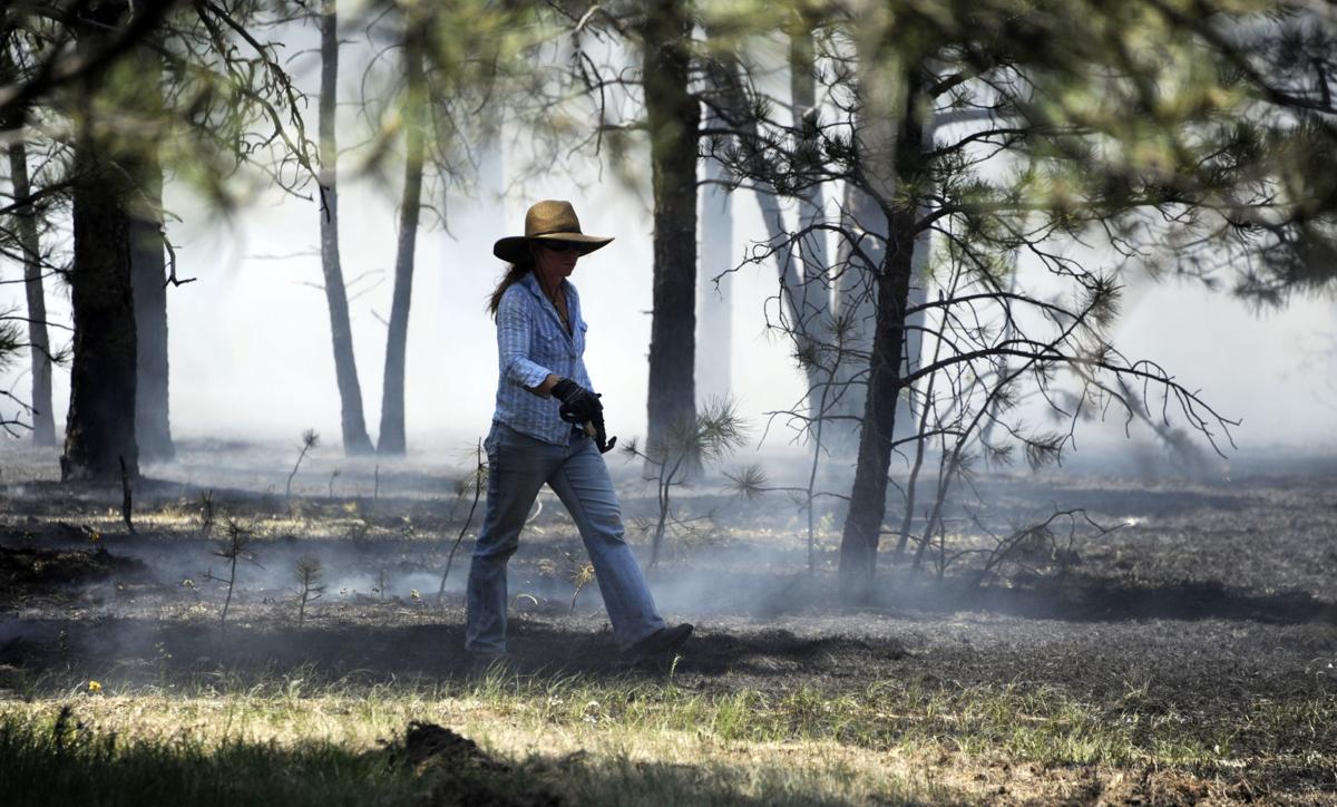BLACK FOREST FIRE