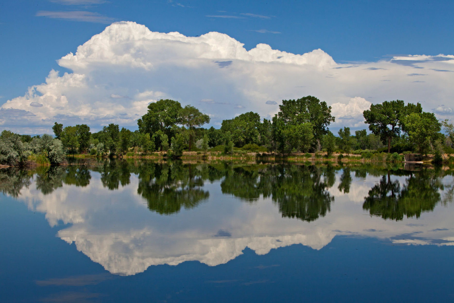 Colorado State Parks James M Robb Colorado River Lifestyle   5b36c4b5f0dfb.image 