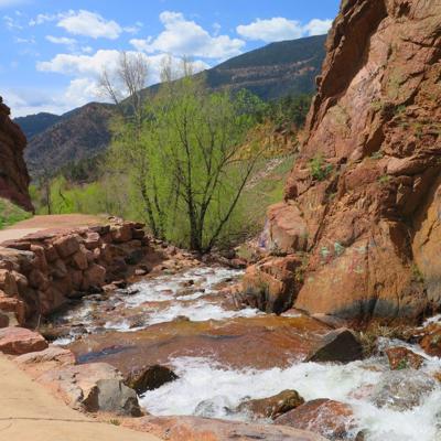 Rabid Bat Found At Rainbow Falls Near Manitou Springs Colorado Springs News Gazette Com
