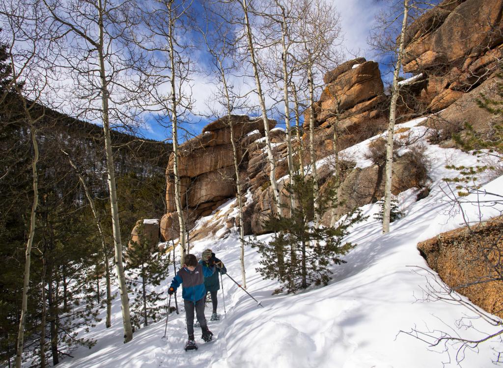 Bobcats persevere despite human encroachment — High Country News – Know the  West