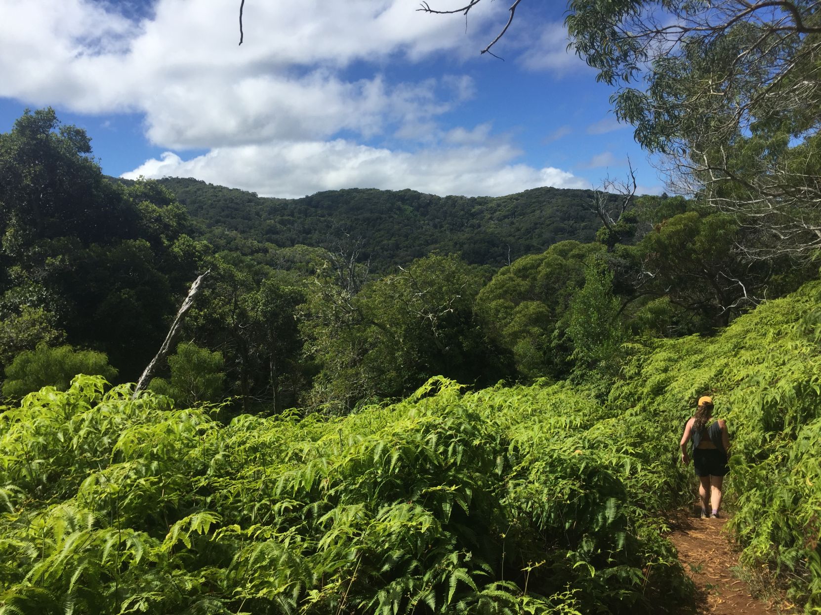 Exploring Hawaii's 