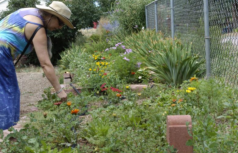 Botanica brings organic, edible gardens home