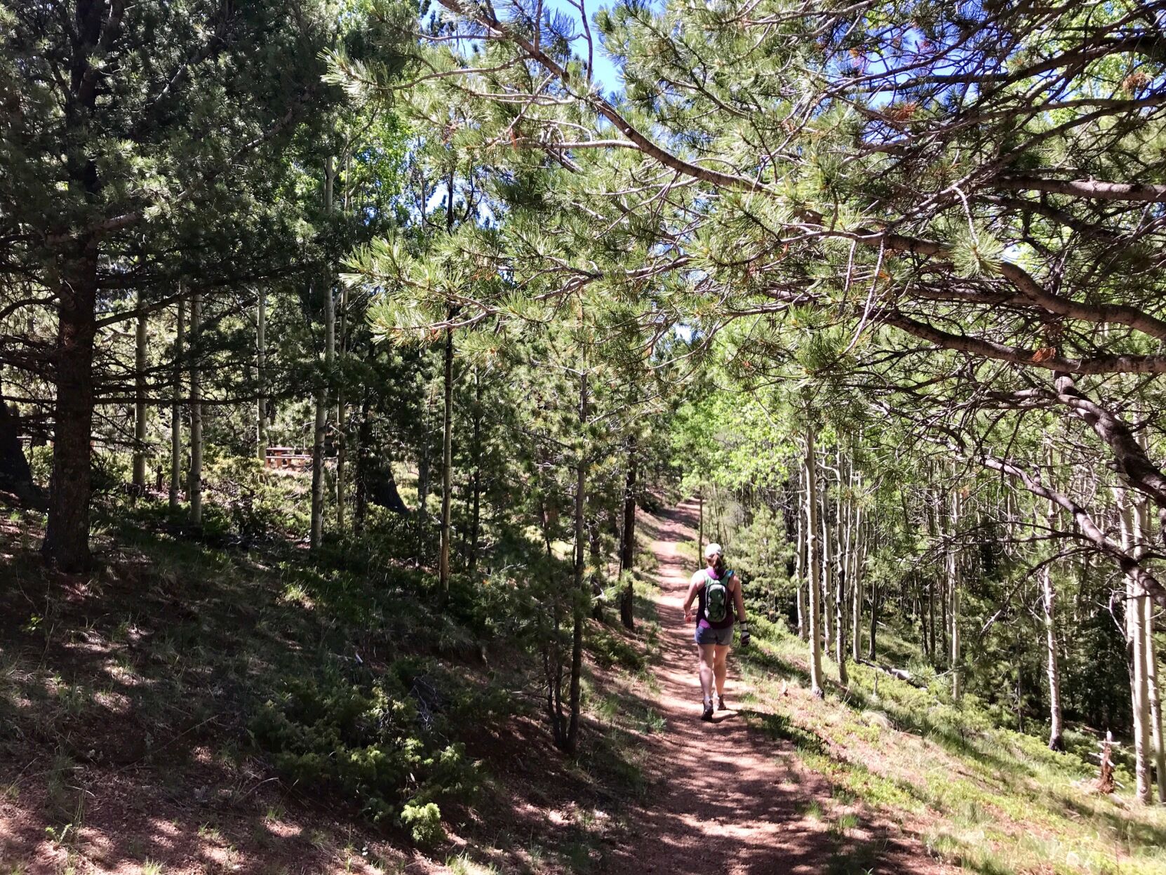 Mueller state park clearance hiking