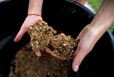 080319-hg-compost 02.JPG