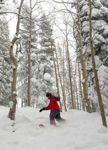 skier man sliding down fresh powder snowy mountain fir tree forest