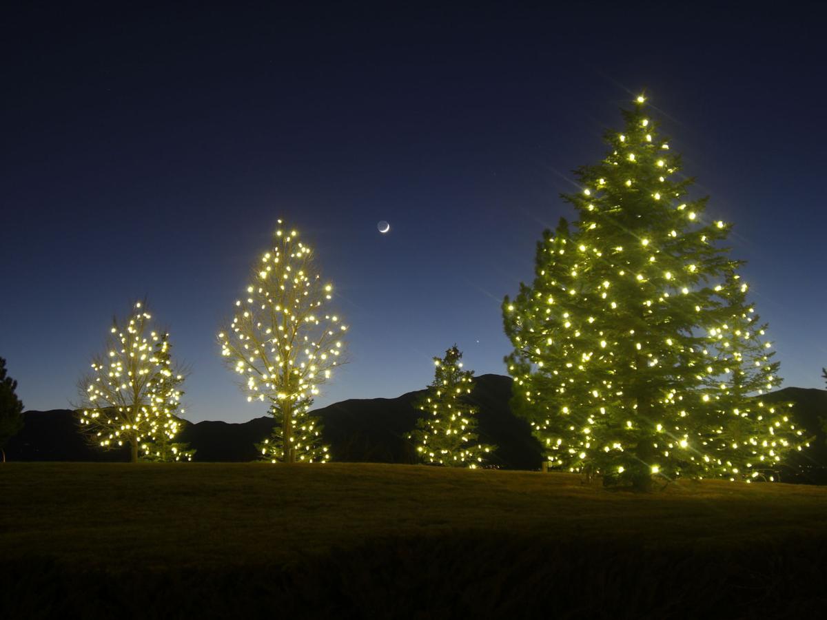 Don T Be A Griswold Hire Someone To Put The Holiday Lights On
