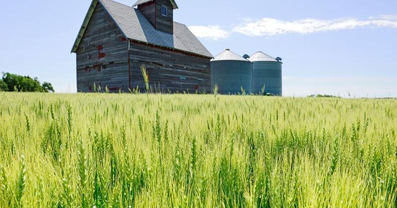 US farmers face 'financial calamity' without extra aid soon, Republican lawmakers say