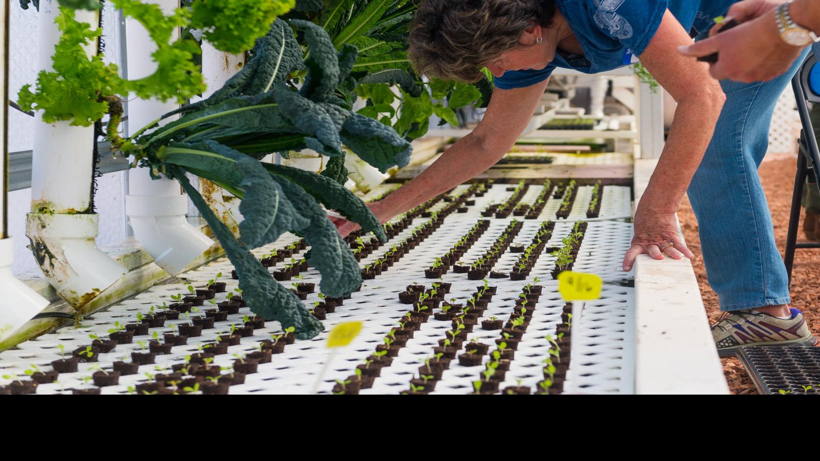 Colorado Springs Church S Aquaponics Garden A Source Of Healing