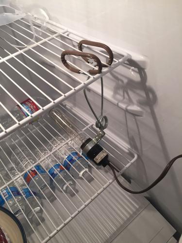 Garage refrigerator heater kit｜TikTok Search