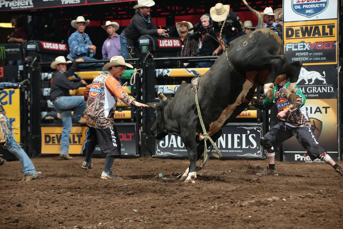 Protecting Pbr S Top Riders Frank Newsom Colorado Springs News Gazette Com Protecting Pbr S Top Riders Frank Newsom Colorado Springs News Gazette Com
