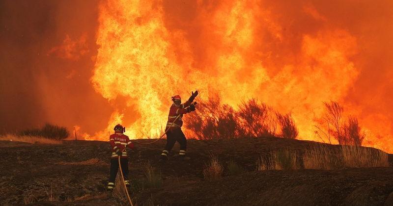 Wildfires fanned by heatwave and strong winds rage across Europe