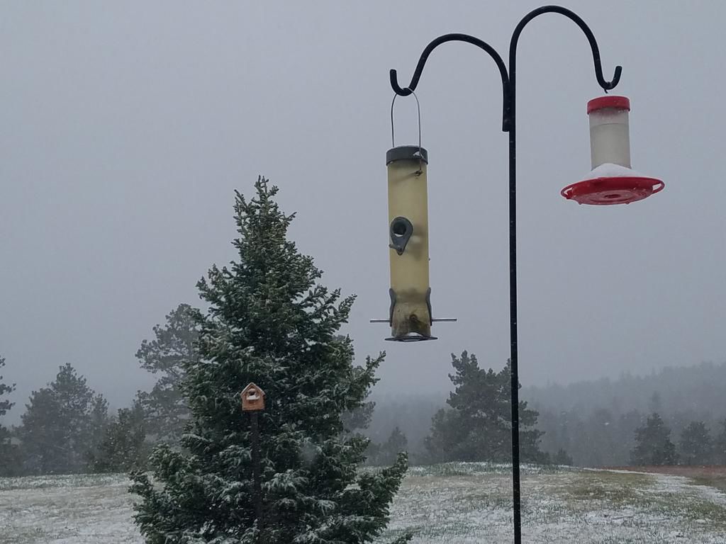 Winter storm warnings issued for parts of Colorado