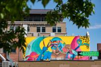 Artwork on the Streets marks its twenty fifth 12 months with a dozen joyful items in Colorado Springs | Arts & Leisure
