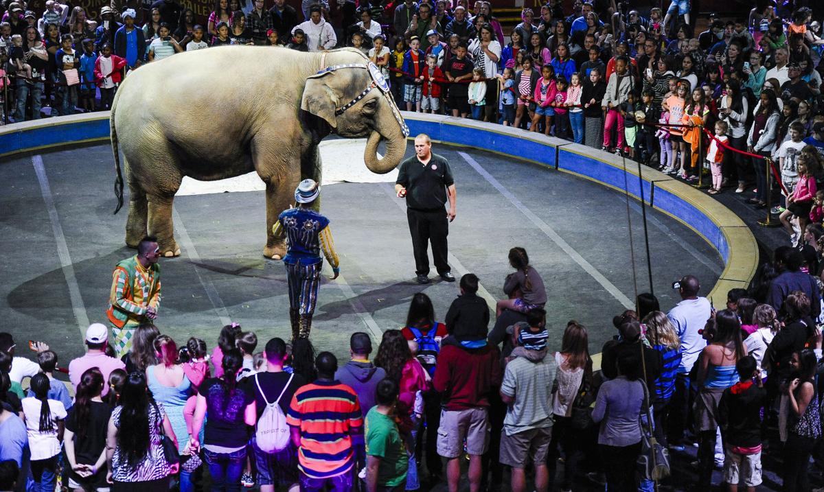 Military Appreciation Day At The Circus Colorado Springs News Gazette Com