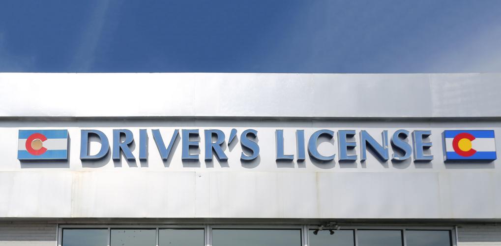 Immigrant Drivers Licenses