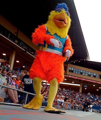 Time To Pick Your Favorite Minor League Mascot