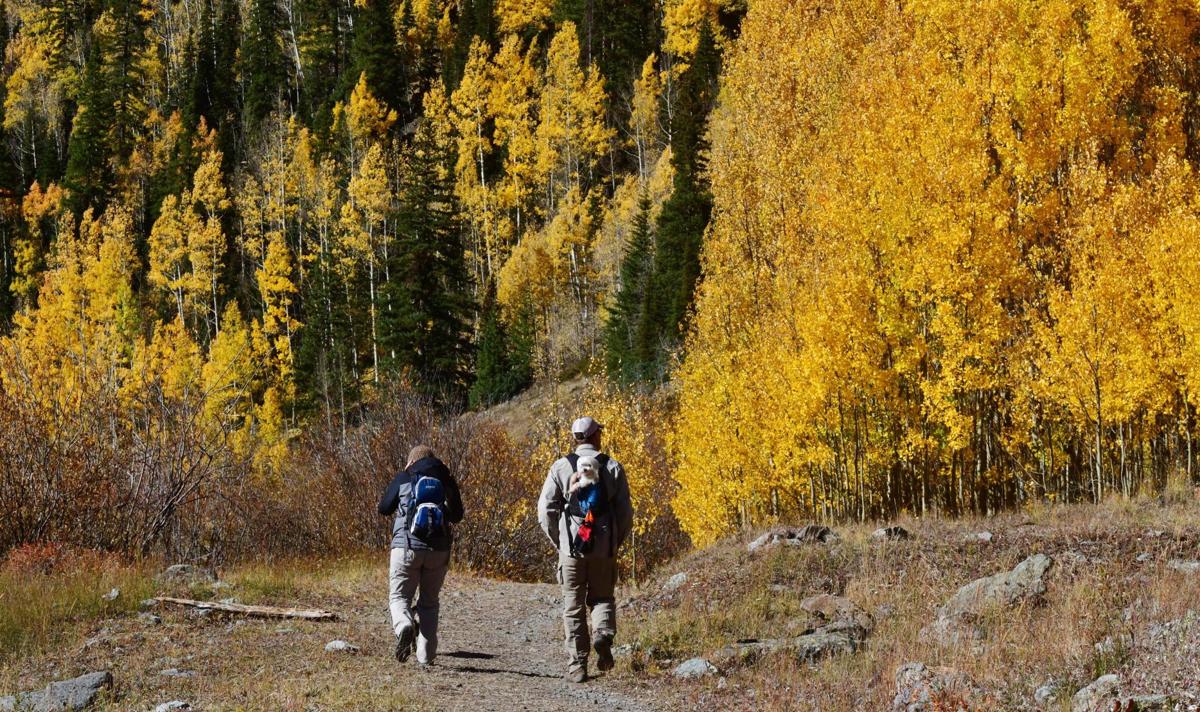 100619-news-aspens 04.JPG