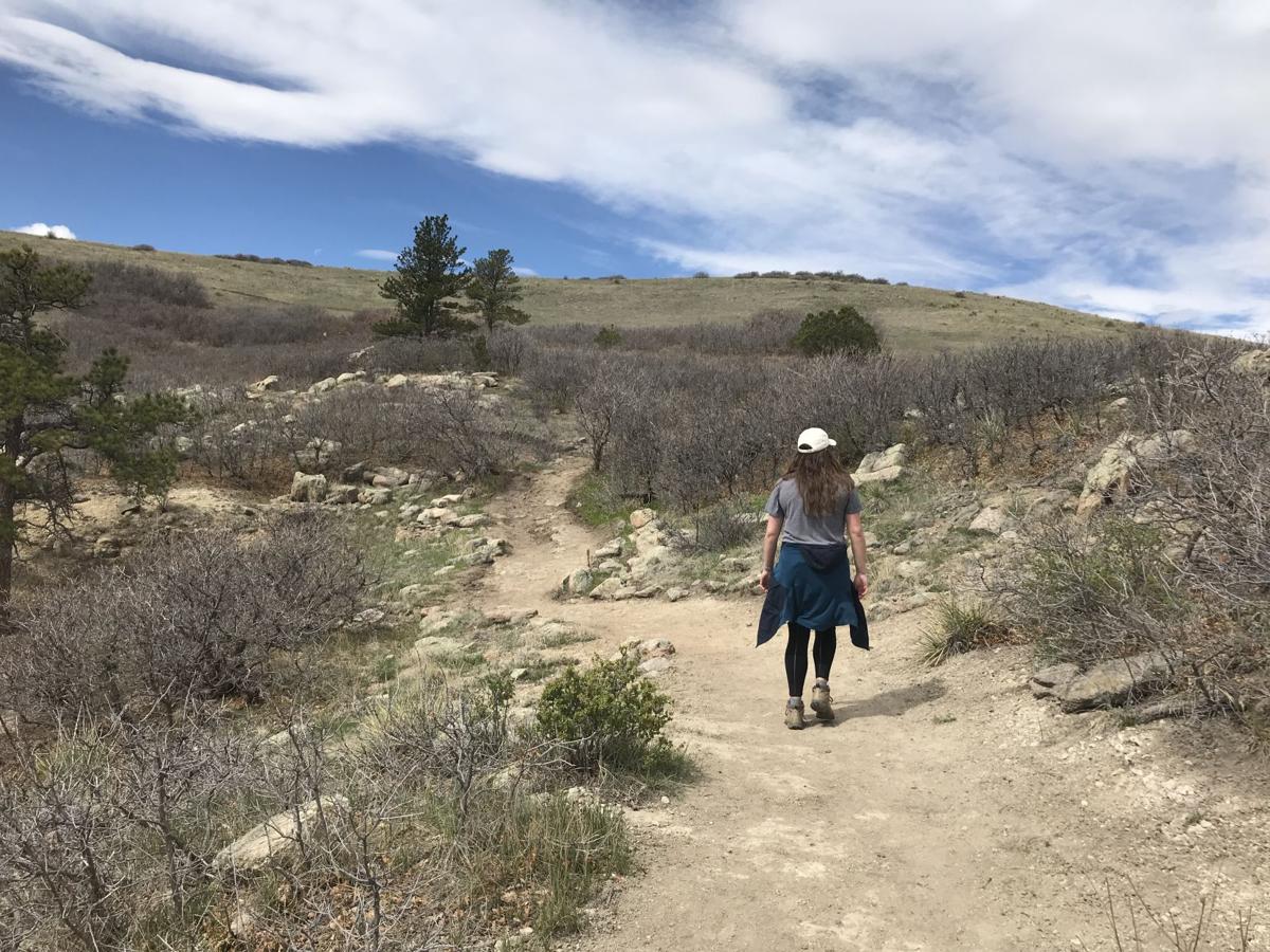 Happy Trails Lincoln Mountain An Uncrowded Gem North Of Colorado