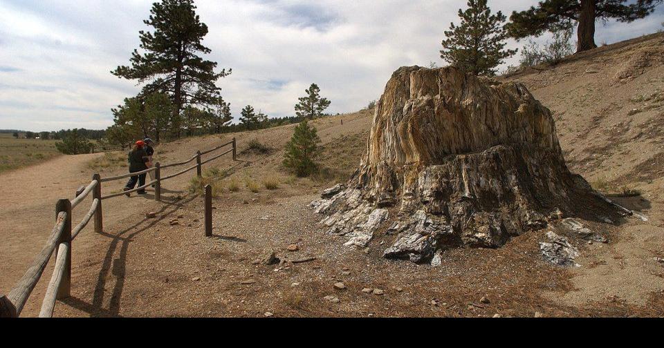 Florissant Fossil Beds fire contained Tuesday | News 