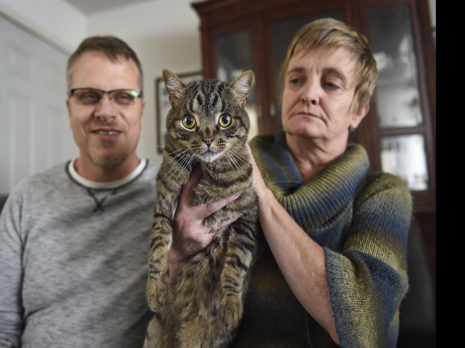 Special Cat Reunited With Family After Being Missing For 3 Years