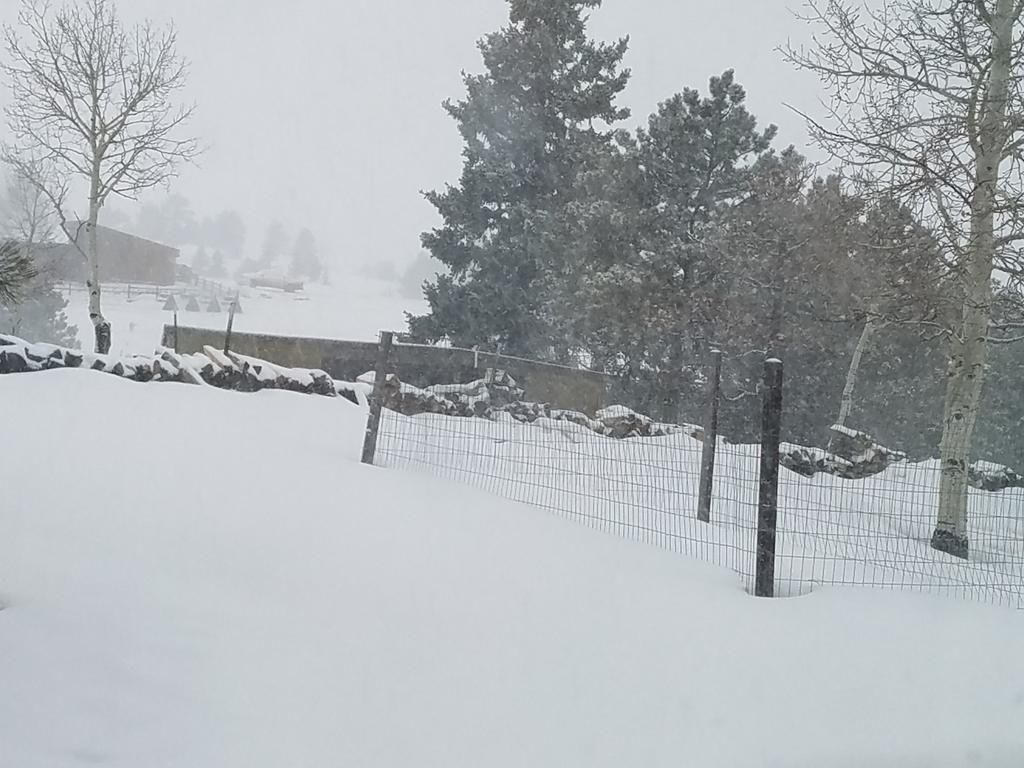 Colorado Springs Snow Totals fierdesignxp