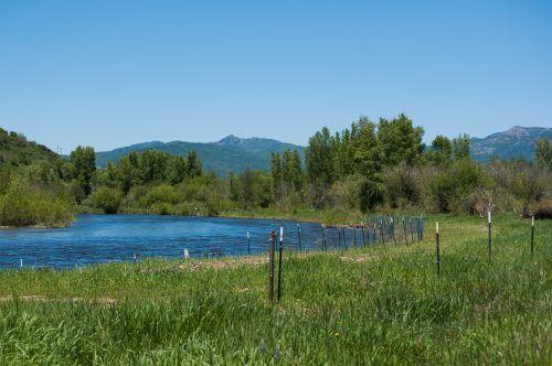 Pressure on Colorado ranchers to regulate Yampa River continues - Colorado Springs Gazette