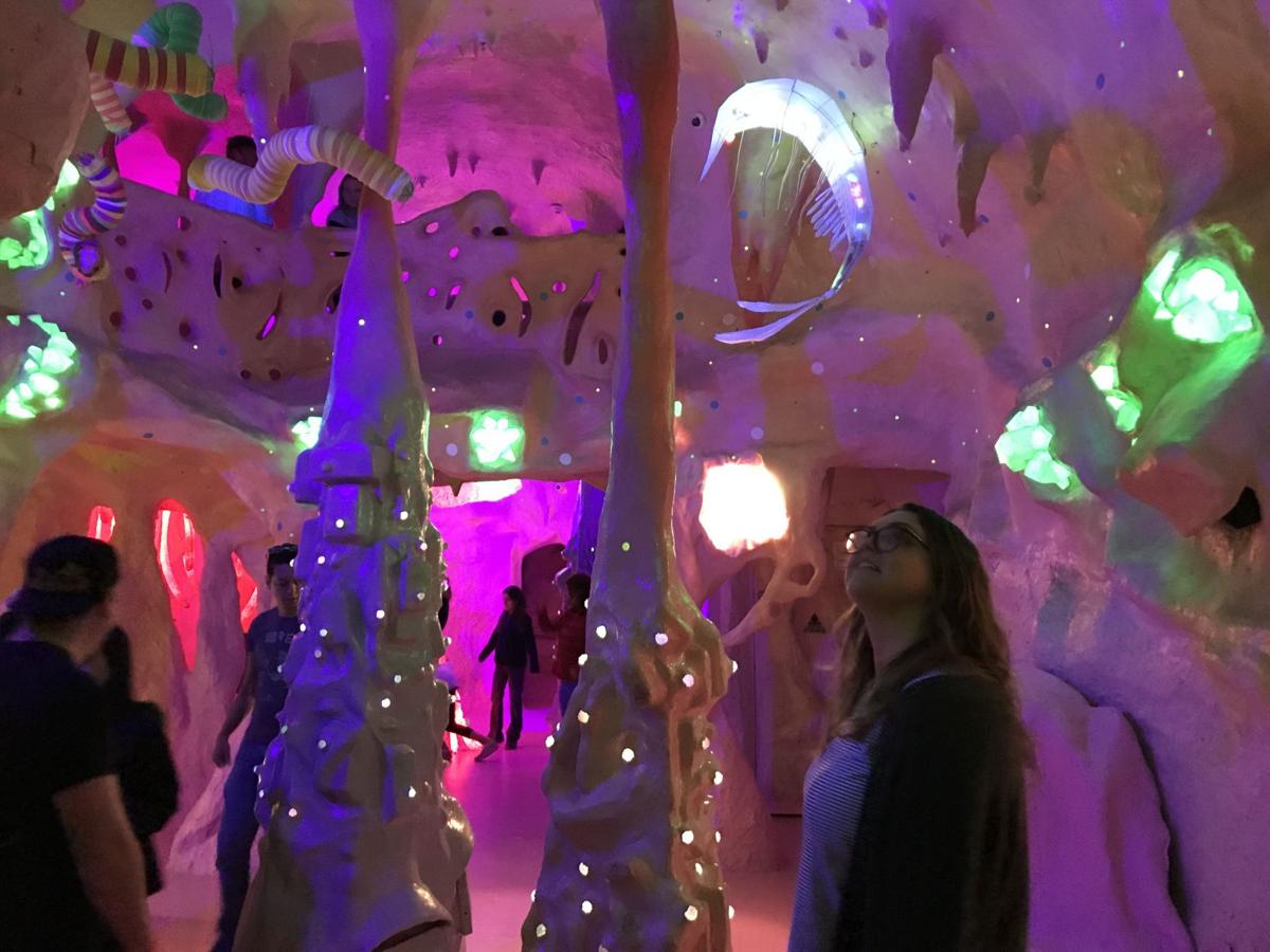 Closed By Covid 19 Meow Wolf Now Seems Like A Distant Trippy Memory Lifestyle Gazette Com