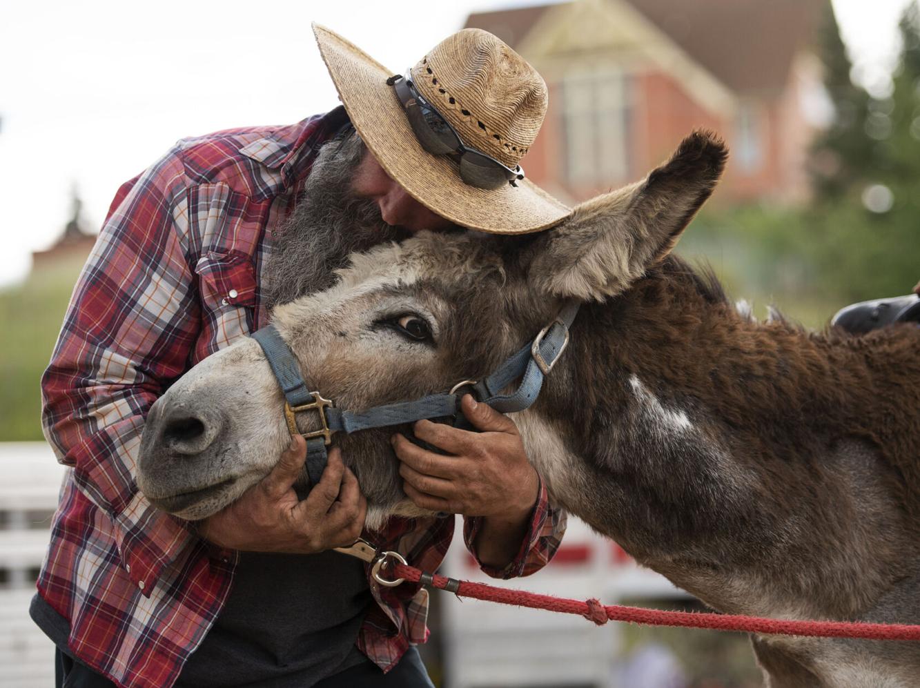 PHOTOS 90th Donkey Derby Days in Cripple Creek Multimedia
