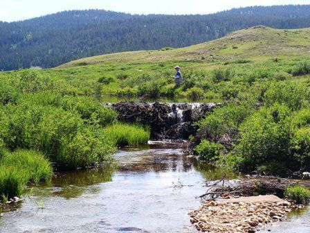 Buffalo peaks wilderness outlet loop