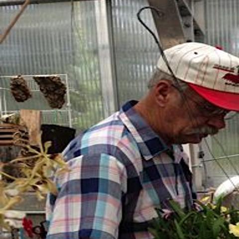 Local Orchid Lovers Share Passion For Challenging Plants Lifestyle Gazette Com