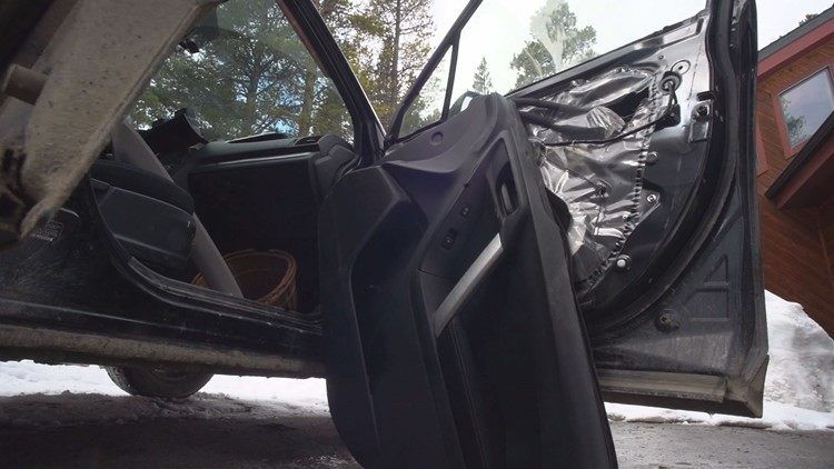 Bear Breaks Into Vehicle In Search Of Gummy Bears Colorado Springs News Gazette Com