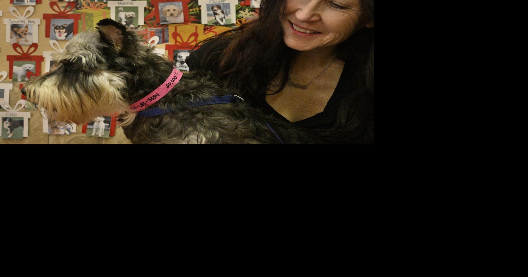 National Mill Dog Rescue saves 20,000 dogs and counting | Pets