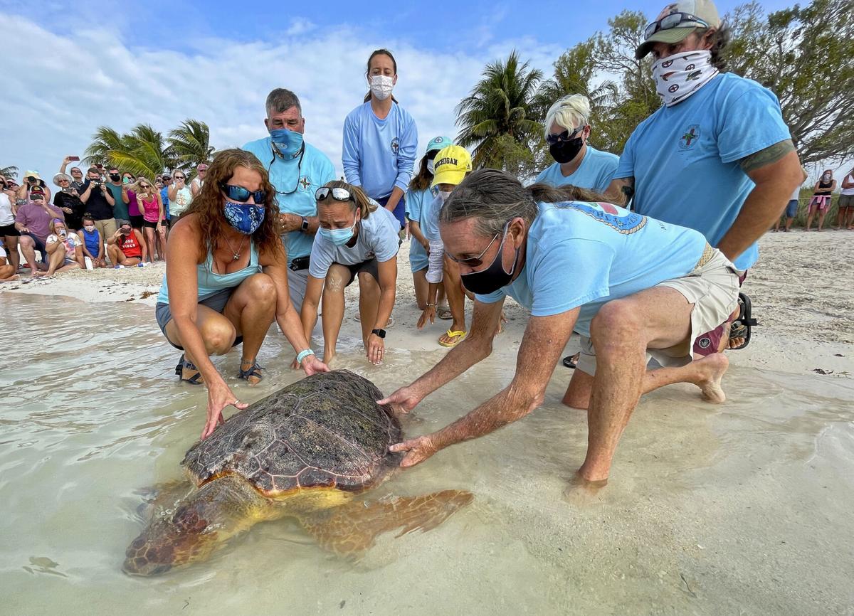 Earth Day Turtle Release