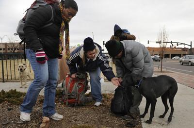Pet Project Vet Tends To Furry Companions Of Homeless Folks