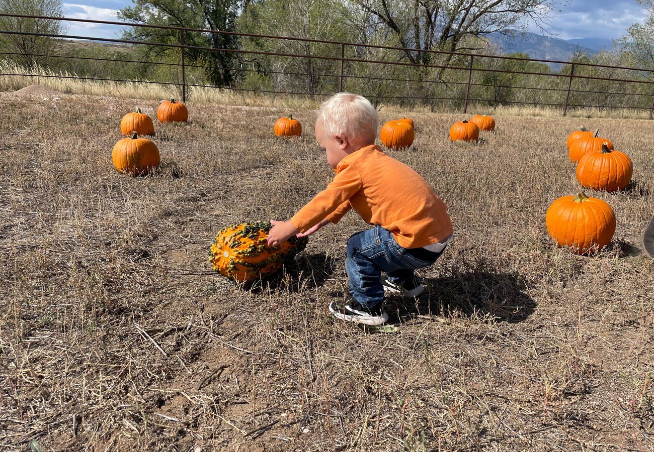 pumpkin patch salem ohio