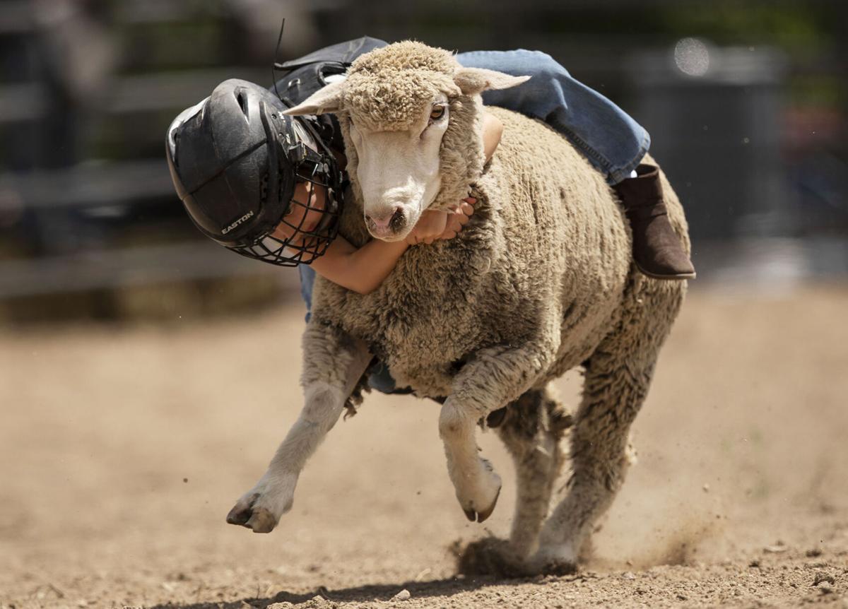 Hold on tight!