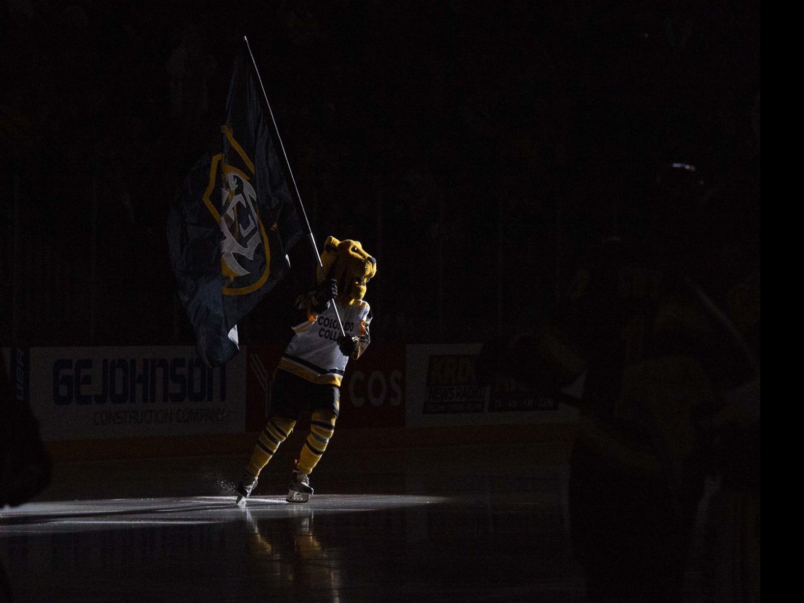 Q A Colorado College Athletic Director Lesley Irvine On Hockey
