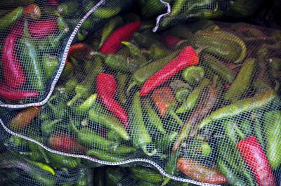 Chiles -- photo labeled as both Hatch and Pueblo
