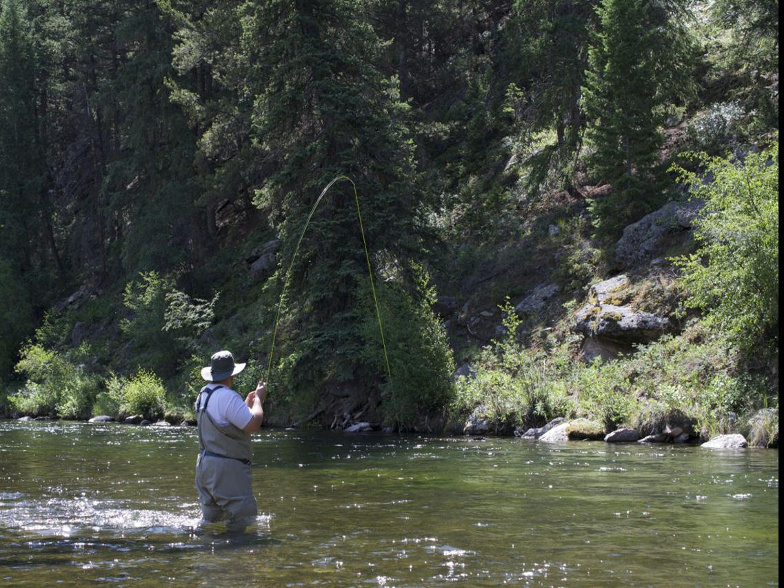 9 Tips For Fly Fishing The Trico Hatch in Montana