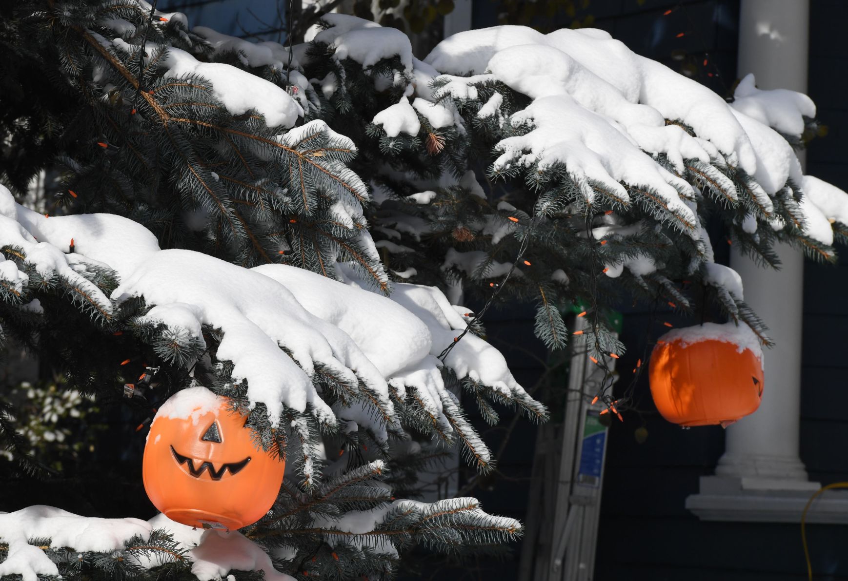 things to do in colorado springs for halloween