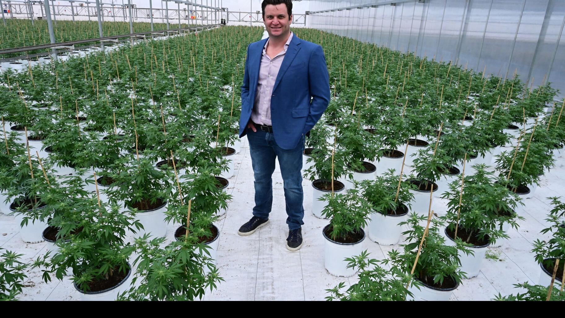 Hawthorne And Flowr Pioneering Private Cannabis Research In North America -  Greenhouse Grower