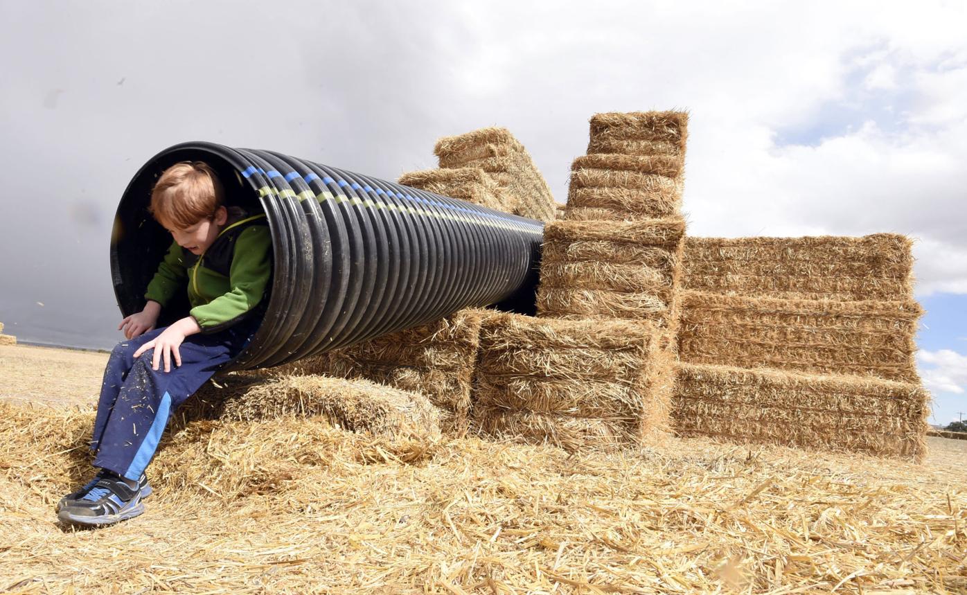 The Country Life Wishing Star Farm East Of Colorado Springs Rebounds After Devastating Attacks Lifestyle Gazette Com The Country Life Wishing Star Farm East Of Colorado Springs Rebounds After Devastating Attacks Lifestyle Gazette Com