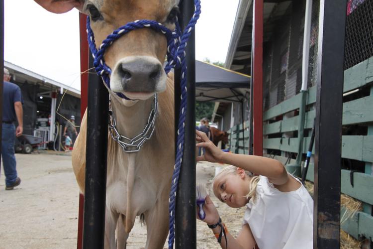 Rock County 4-H Fair