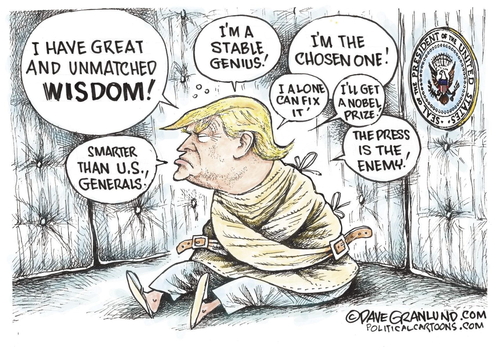 Trump's losing it Political cartoons