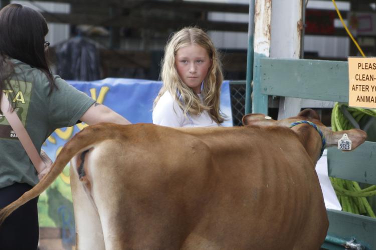 Rock County 4-H Fair