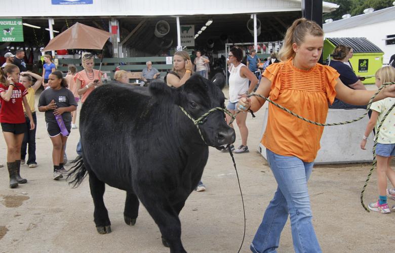 Rock County 4-H Fair