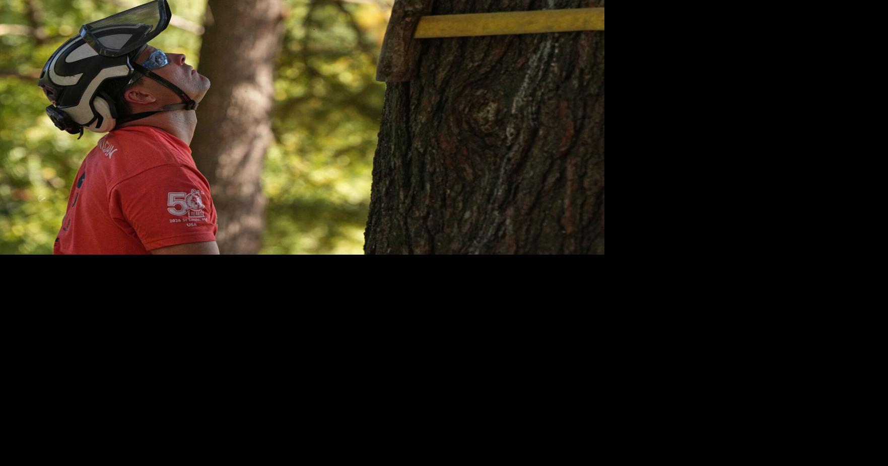 Tree Climbing Championship | Nation/World | gazettextra.com